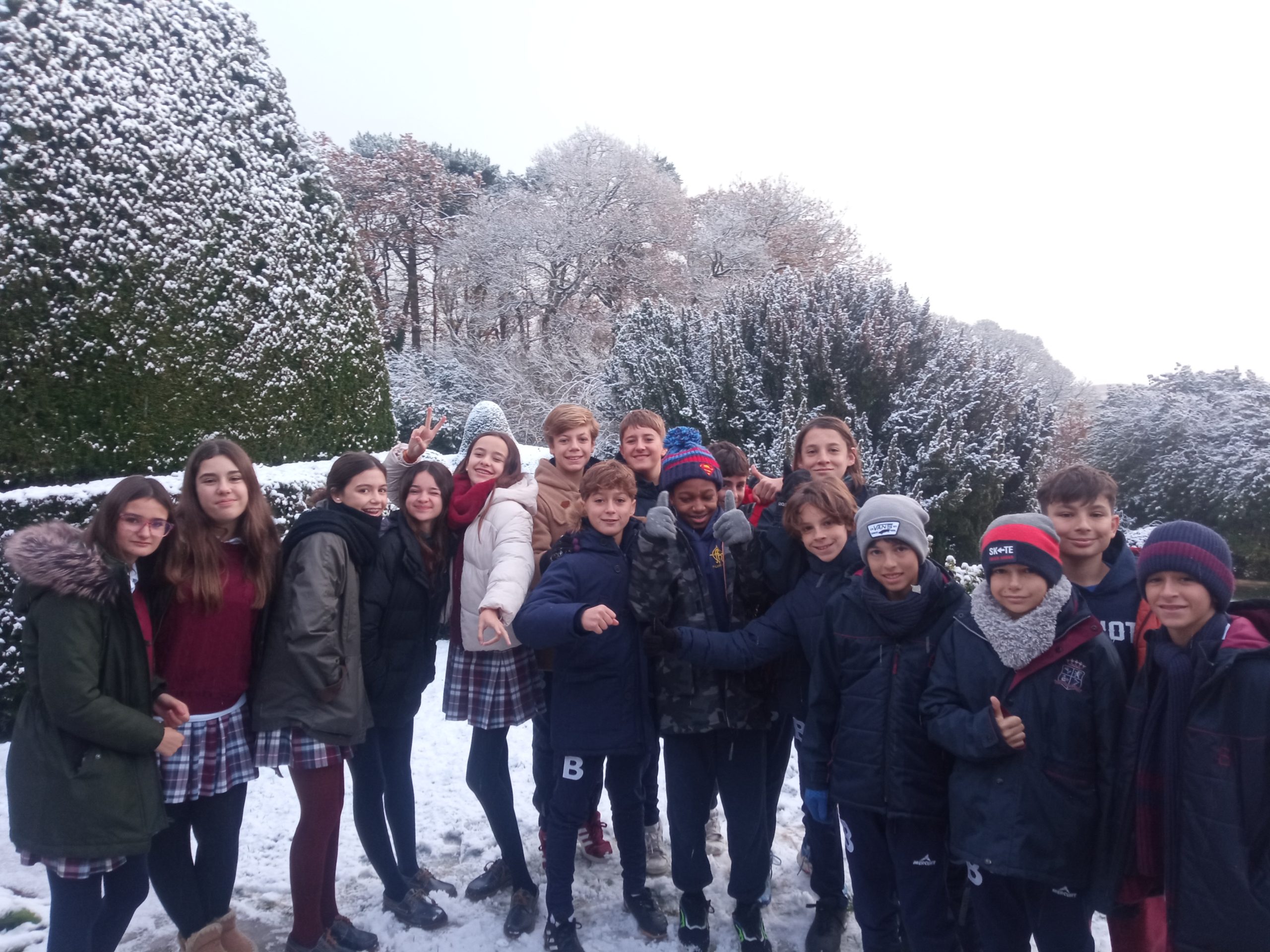 Colegio Educación Secundaria En Zaragoza | Colegio Británico De Aragón